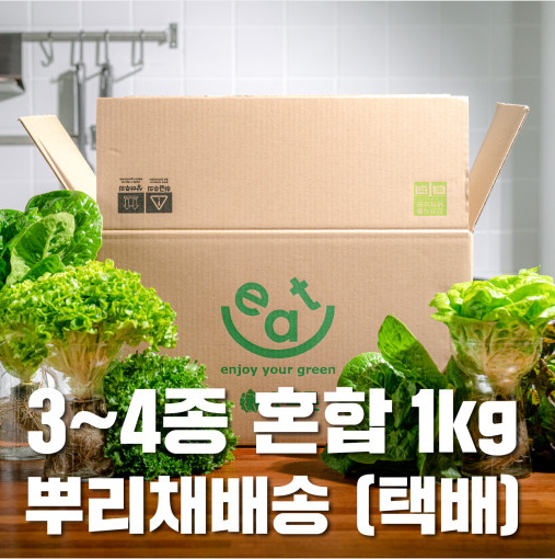 유러피안 샐러드 채소 랜덤 혼합 1kg(당일수확, 당일배송) 대표이미지 섬네일