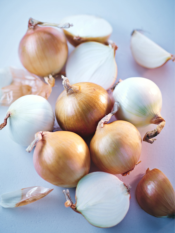 국산 양파 1.5kg (장아찌용, 10-17입)