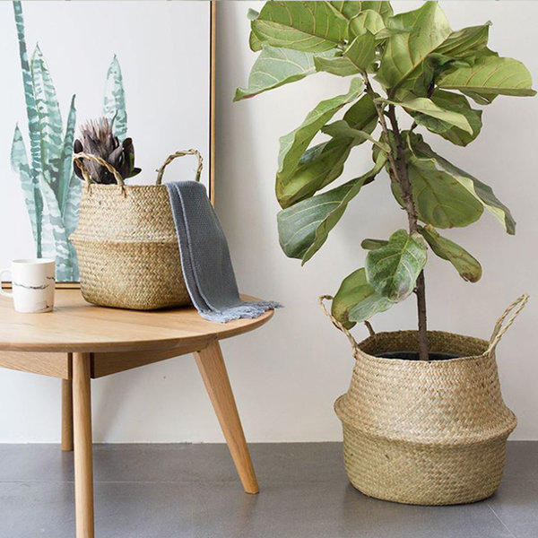 접이식 해초 왕골 라탄 화분 바구니 바스켓
