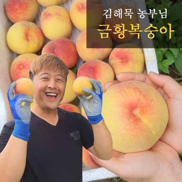[참다올] 산지직송 예천복숭아 백도/황도 2.5kg