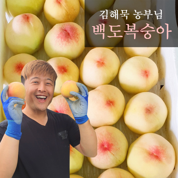 [참다올] 산지직송 예천복숭아 백도/황도 2.5kg
