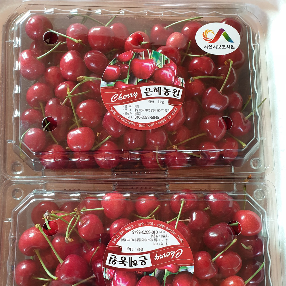 국내산 체리 1kg 산지직송 GAP인증