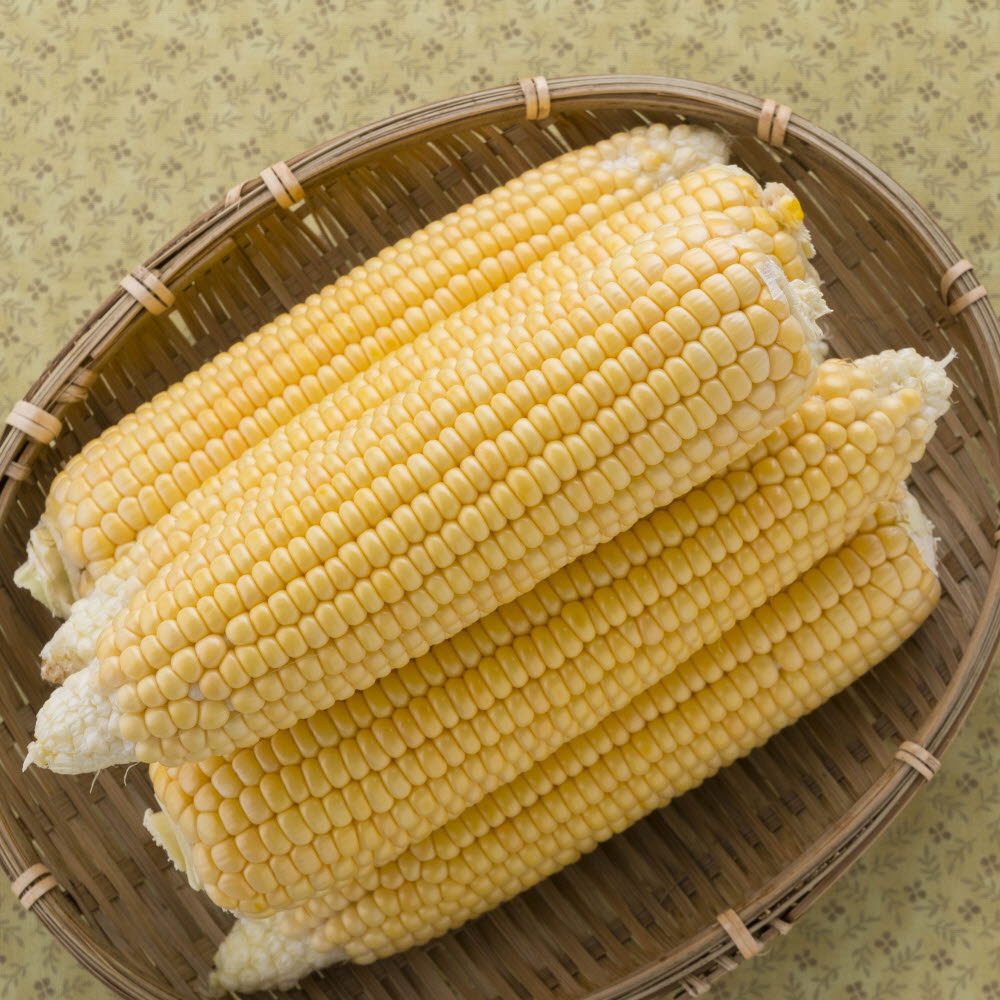 제주 해남 초당 옥수수 특품 5개입 10개입