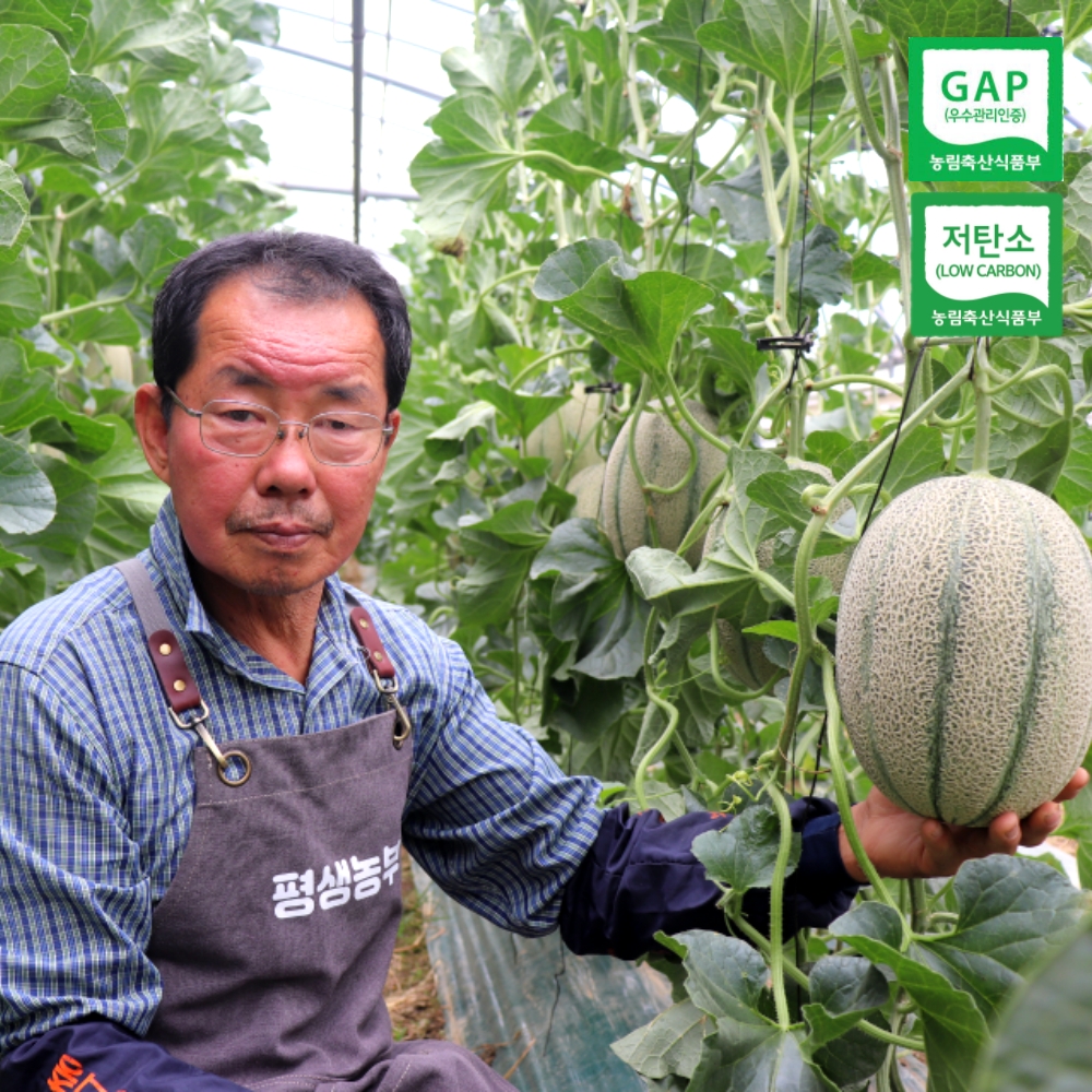 [당도선별]GAP,저탄소 인증 칸탈로프 멜론 칸탈루프 메론 특품
