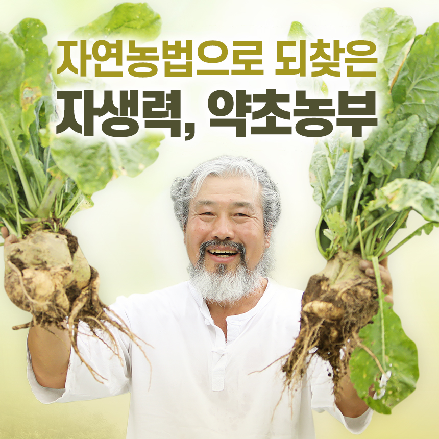 친환경 도라지와 토종무로 만든 유산균발효진액 1박스
