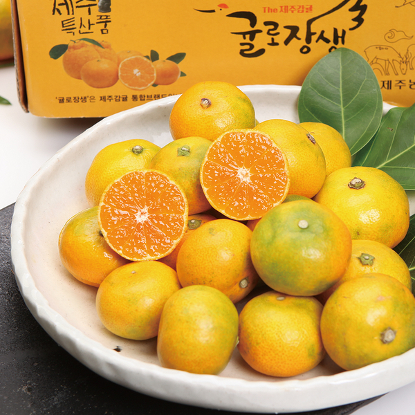 제주농협 하우스 감귤 2.5kg 로얄과 (2S-M)