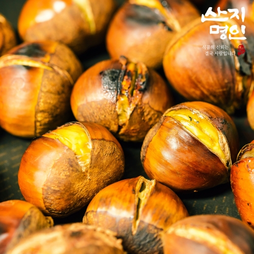 [산지명인] 식사대용 칼집 약단밤 500g 군밤