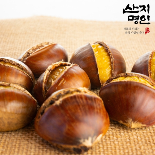 [산지명인] 식사대용 칼집 약단밤 500g 군밤