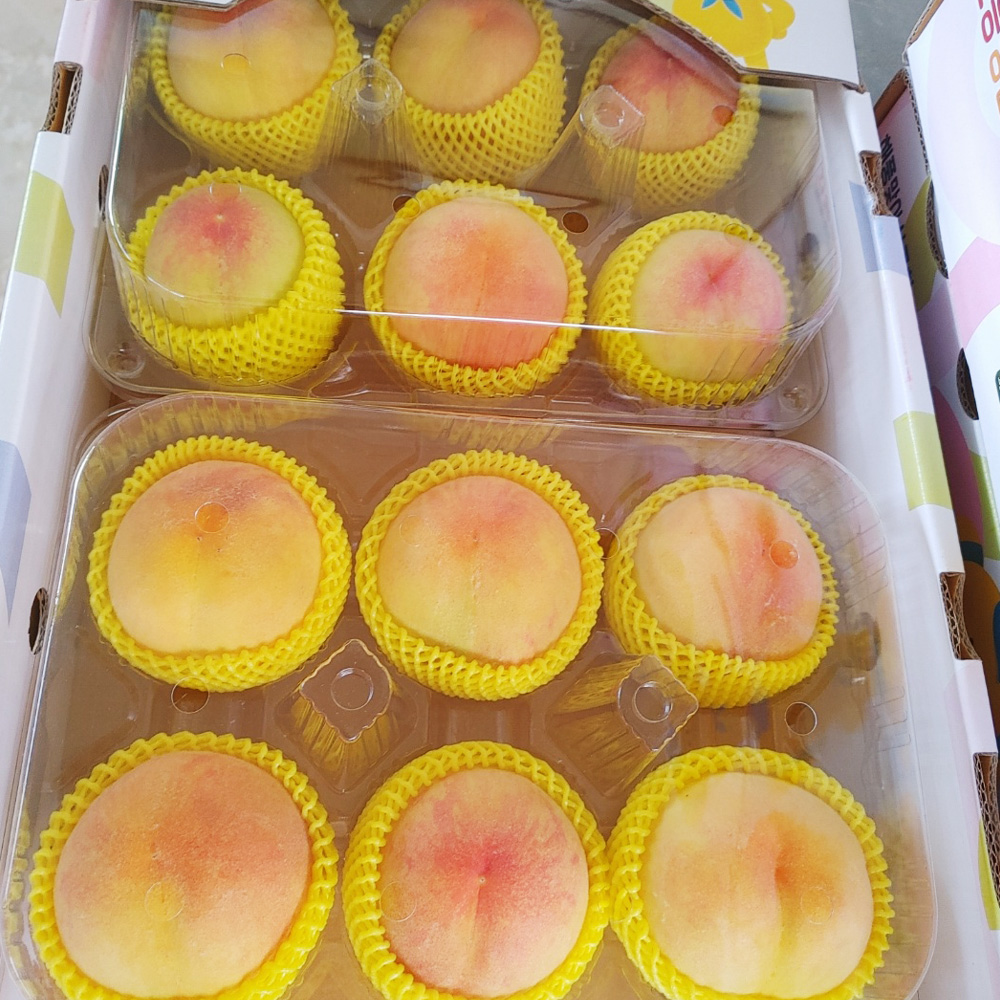 황도 백도 복숭아 1.25kg 고흥 최우수상 명품 복숭아