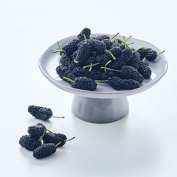 무농약 영광오디5kg(2.5kg/2팩)2025년