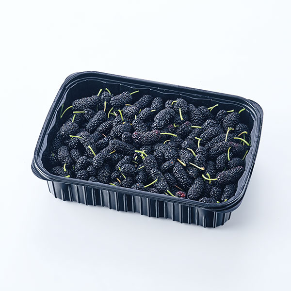 무농약 영광오디5kg(2.5kg/2팩)2025년