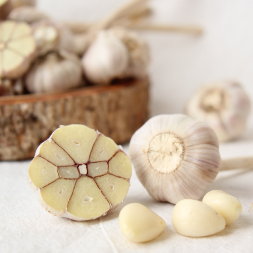 [빅토리팜] 동결건조 다진마늘[큐브형/분말형]