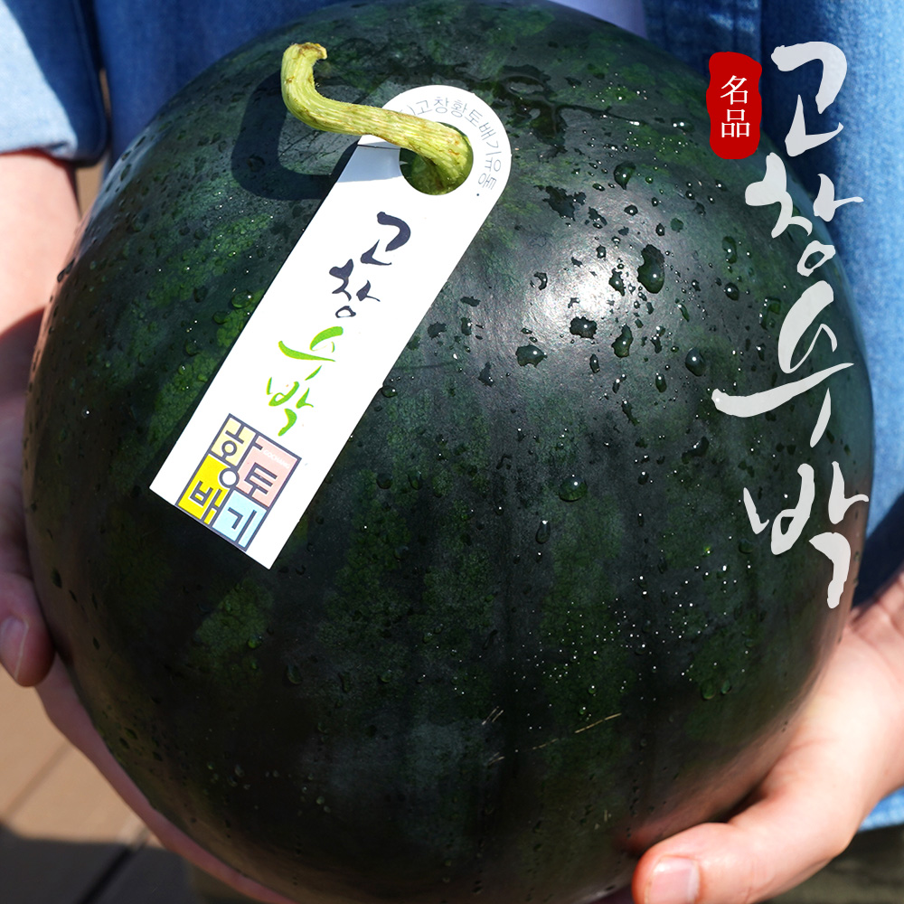 [고창특산물] 블랙라벨 고창 흑수박 8~10kg미만 (선물용)