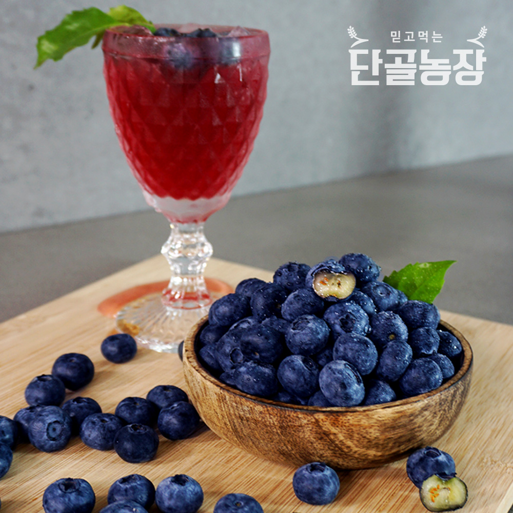 2023년 고창 블루베리 생과 로얄특상 1~5kg