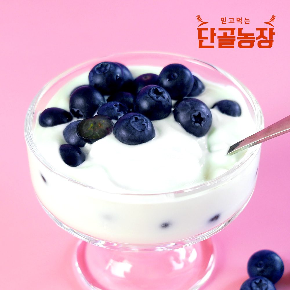 2023년 고창 블루베리 생과 로얄특상 1~5kg