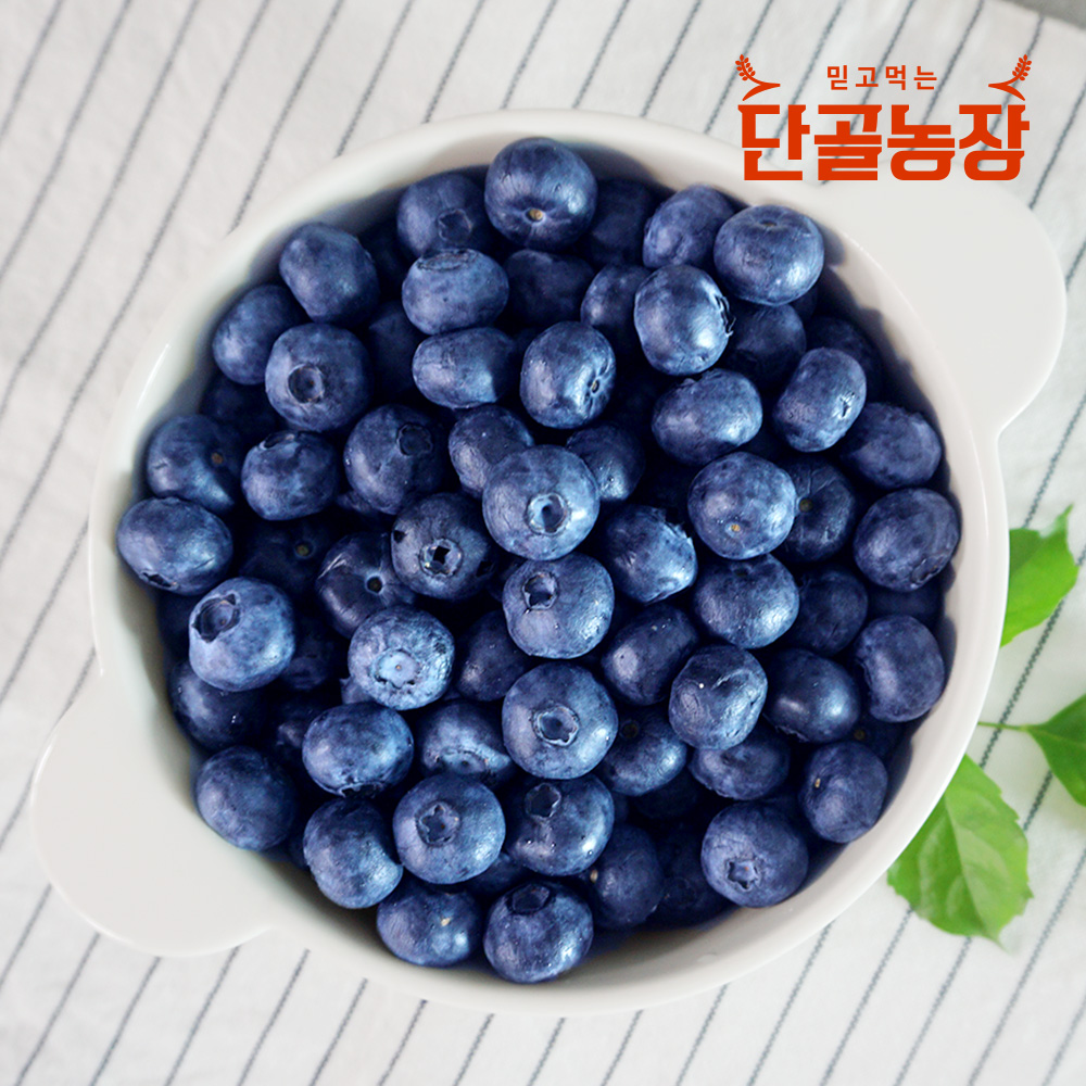 2023년 고창 블루베리 생과 로얄특상 1~5kg