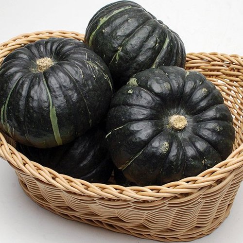 해남 땅끝마을 밤호박 4kg(6~12과)