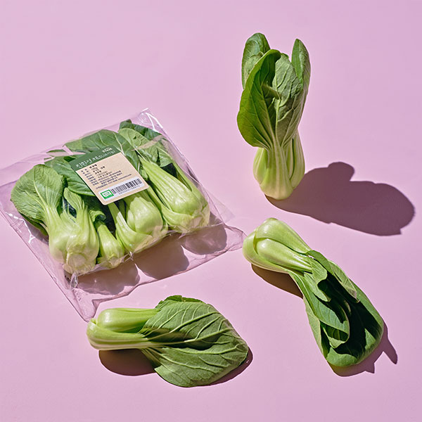 청경채 l 유기농 대표이미지 섬네일