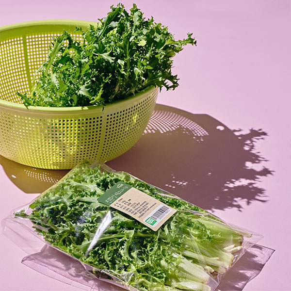 치커리 (100g) l 유기농 대표이미지 섬네일