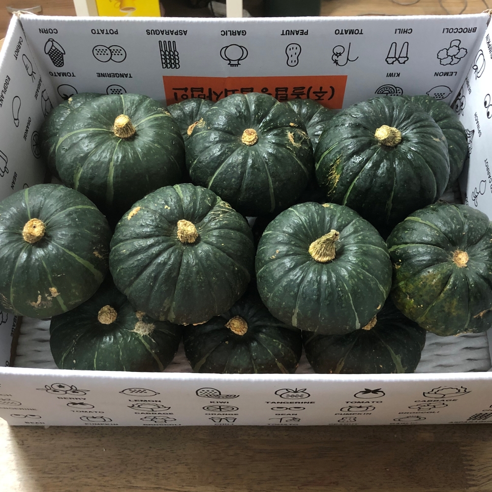 제주직송 영양만점 미니 밤단호박 2kg,5kg,8kg(사이즈 선택)