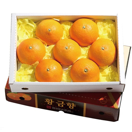 조은돌담 제주직송 달콤상큼 황금향(선물용) 2.5kg