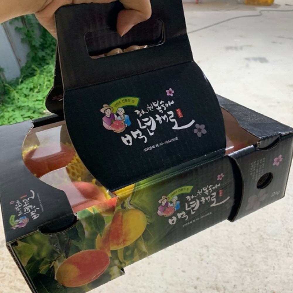 아삭이 딱딱이 털 복숭아 1.5kg