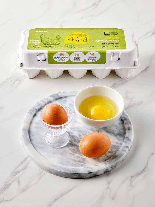 무항생제 자유방사 자유란 (10구)