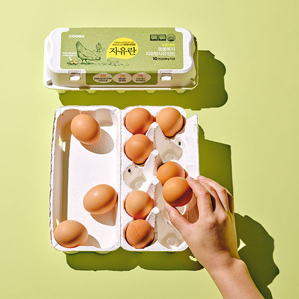 [양촌 안성] 무항생제 동물복지 자유란 (10구) 대표이미지 섬네일