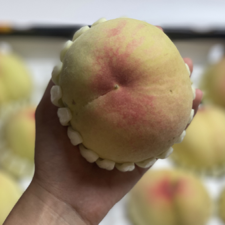 충주 하늘작 복숭아 백도 황도 털복숭아 3kg