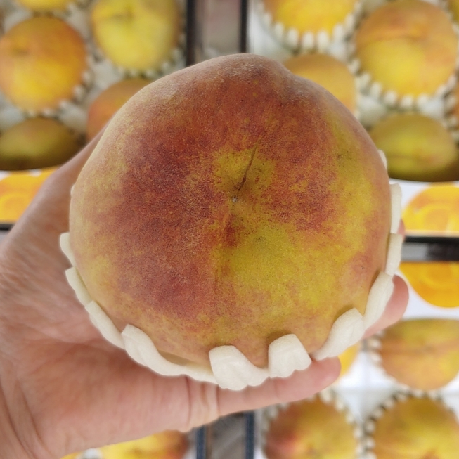 충주 하늘작 복숭아 백도 황도 털복숭아 3kg