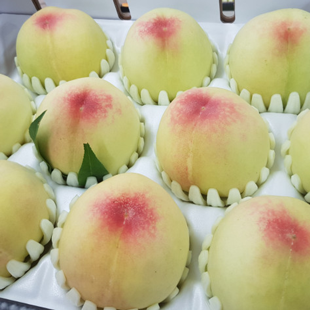 충주 하늘작 복숭아 백도 황도 털복숭아 3kg