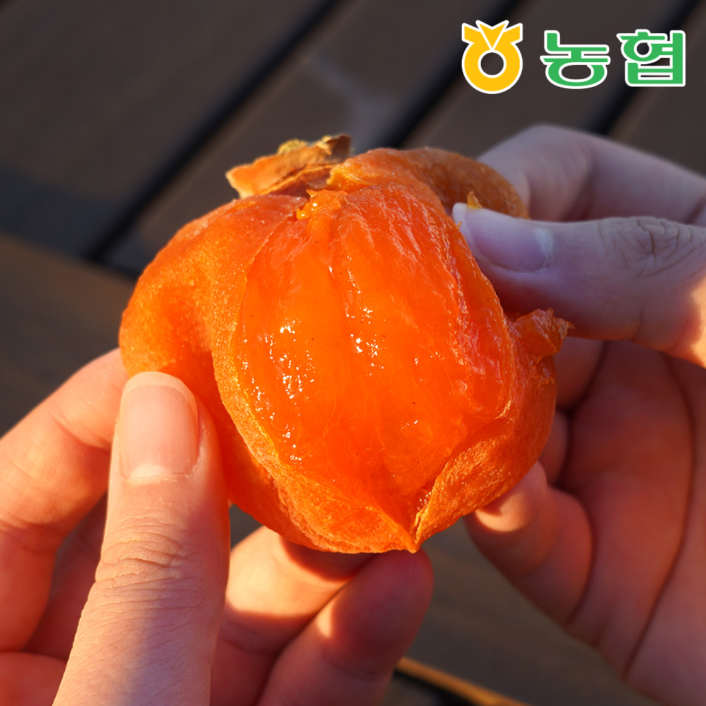 [농협] 자연건조 장성 대봉 반건시 곶감 로얄과 대표이미지 섬네일