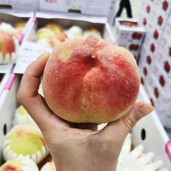 당도높은 딱딱이 백도복숭아 2kg (7~14과) 중대과 털복숭아