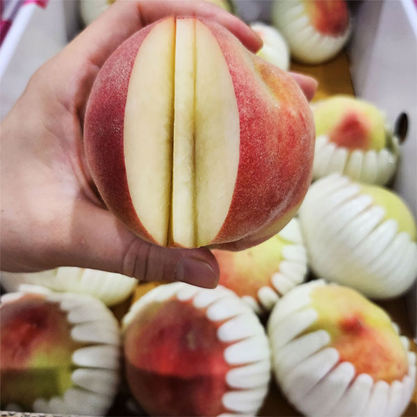당도높은 딱딱이 백도복숭아 2kg (7~14과) 중대과 털복숭아