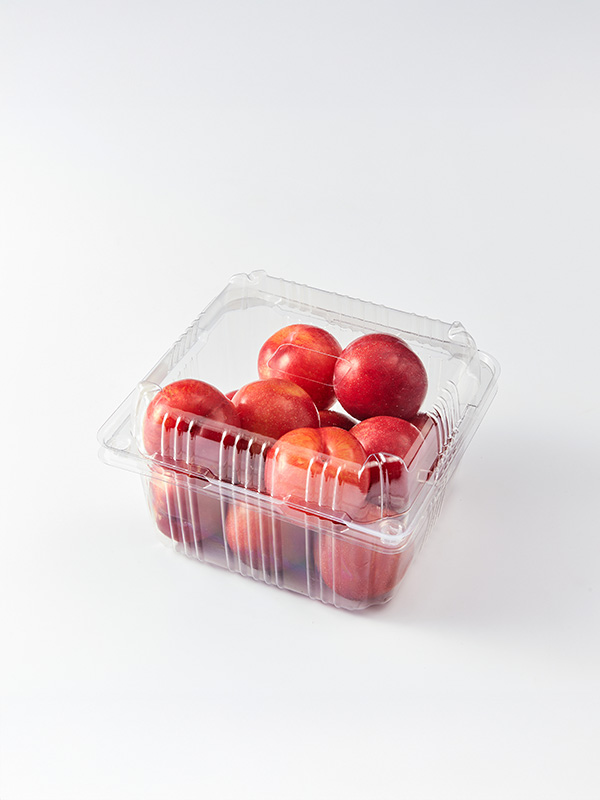 국산 대석 자두 800g