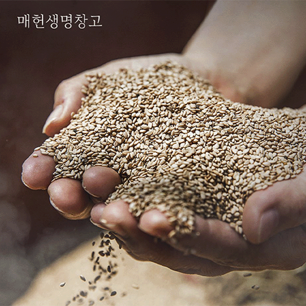 매헌 고소한 참기름