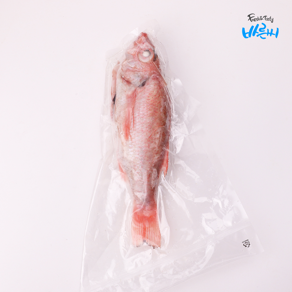 (급냉)국내산 손질 금태(눈볼대) 1미 250g 전후