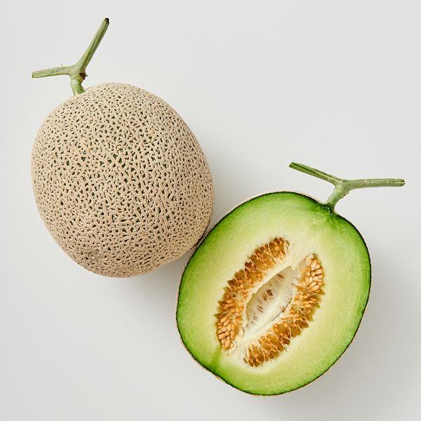 [멜론의 정석] 고당도 머스크 멜론 [2kg-8kg]