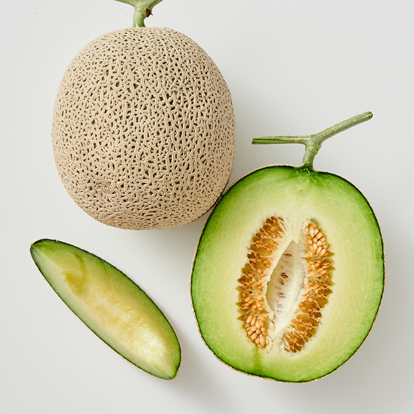 [멜론의 정석] 고당도 머스크 멜론 [2kg-8kg]
