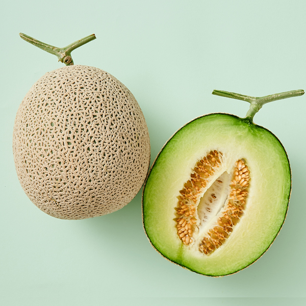 [멜론의 정석] 고당도 머스크 멜론 [2kg-8kg]