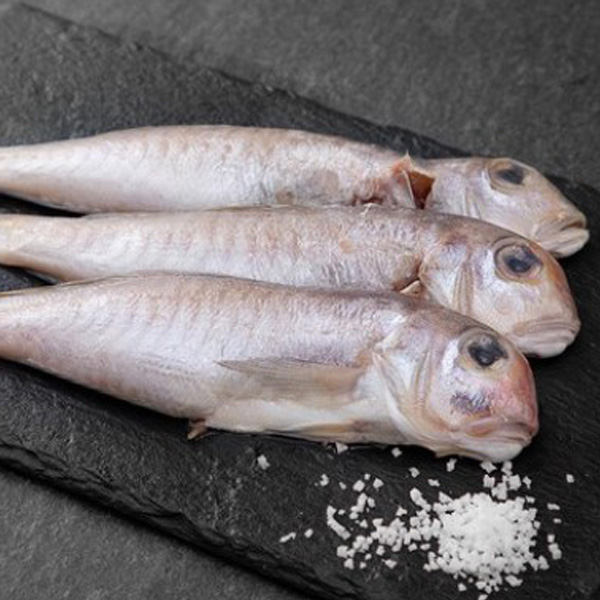 한올레 통옥돔 5팩 (팩당 300g. 2~3마리)