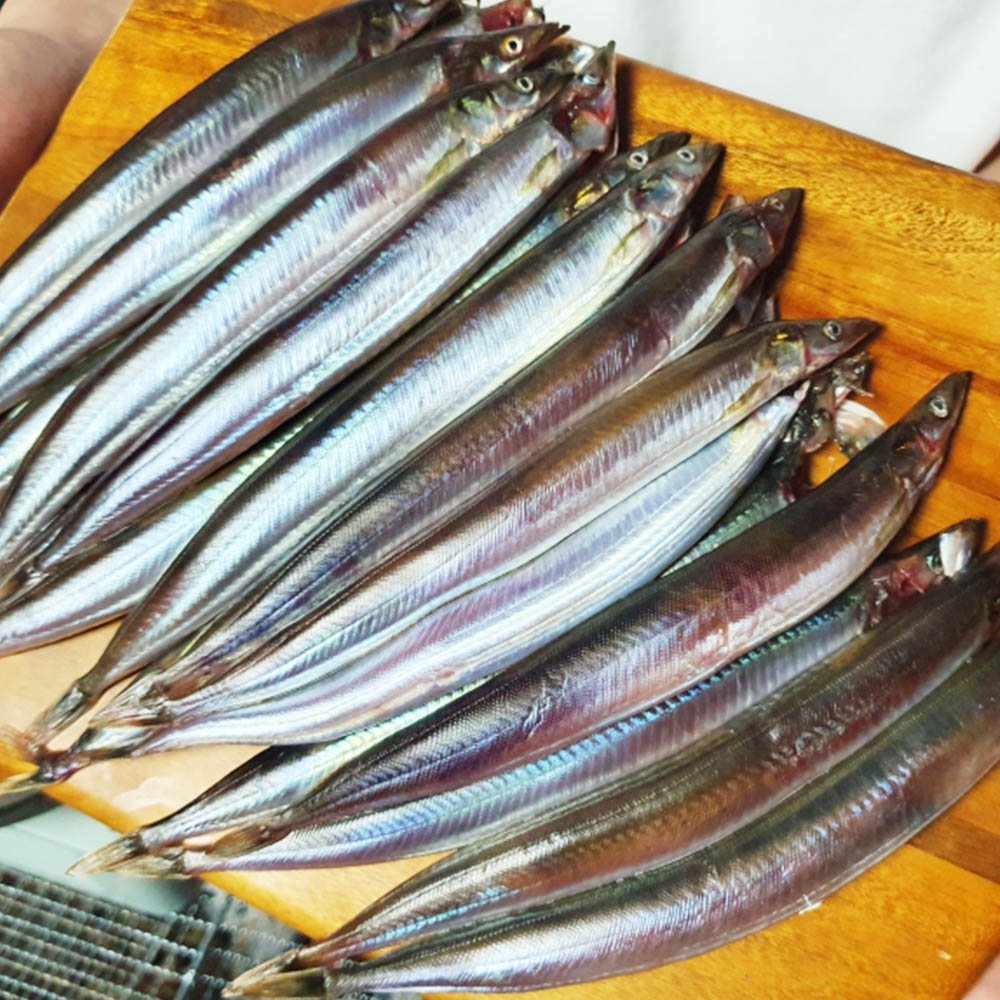 국내산 동해 급냉 양미리 1kg 22-28미