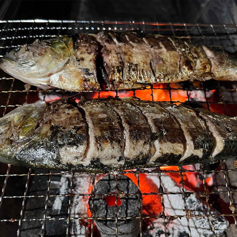 국내산 전어 특대 1미 200g내외 2kg 10미 