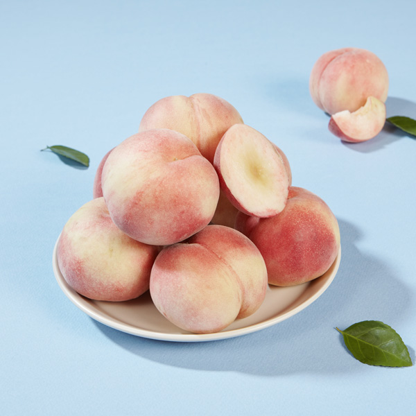 [사전예약] 햇사레 천중도 복숭아 1.5kg (8~10개)