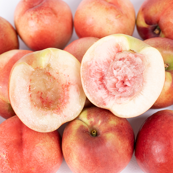 올해 마지막 복숭아! 달콤하고 부드러운 설홍복숭아 2kg/1kg - 오아시스마켓::믿을 수 있는 먹거리