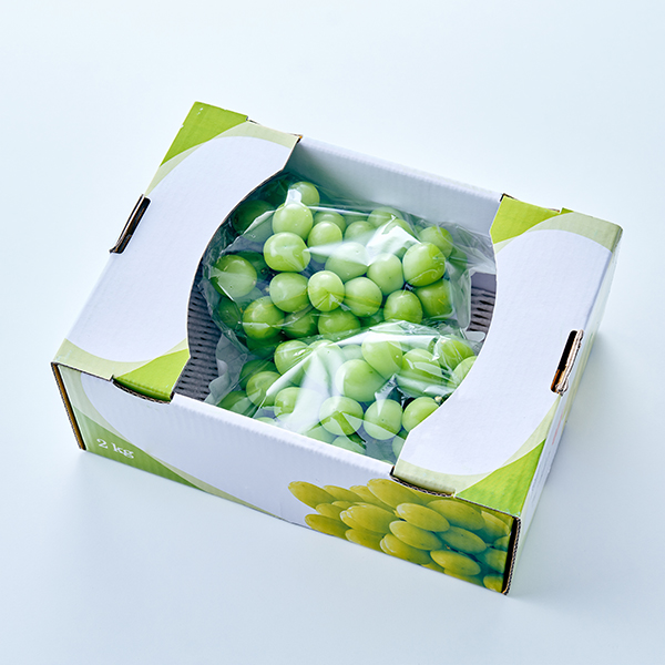 GAP 경산 샤인머스캣(3수/2kg)