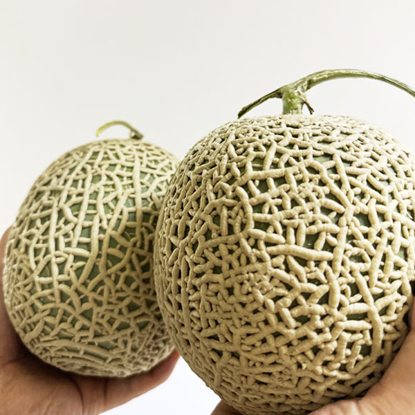 고당도 농협 케이멜론 꿀메론 특상품 6수 (8kg 내외)