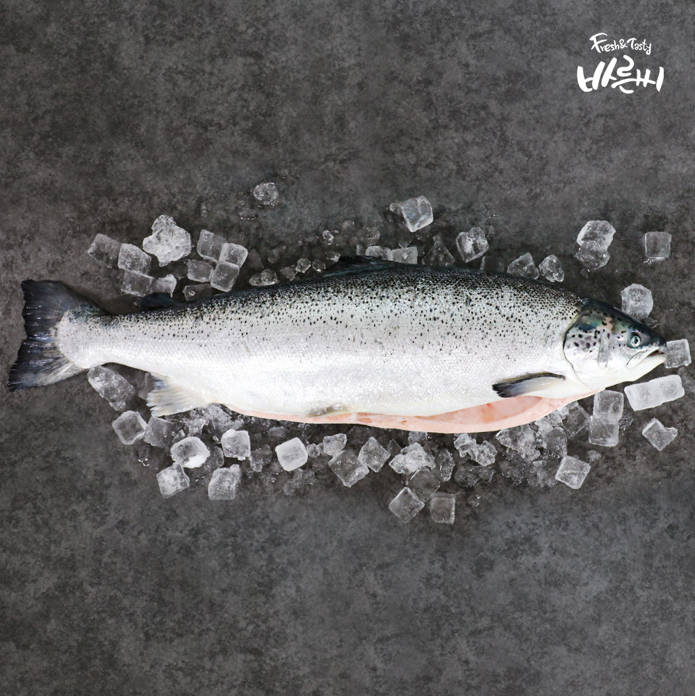 바른씨 생연어 필렛 2kg(반마리) 6-7kg(한마리)