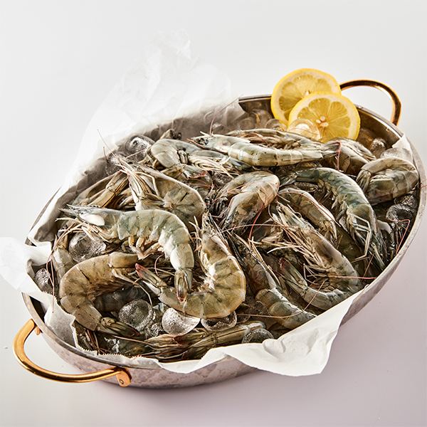[산지직송] 전남 신안 생새우(1kg/25~32미내외)