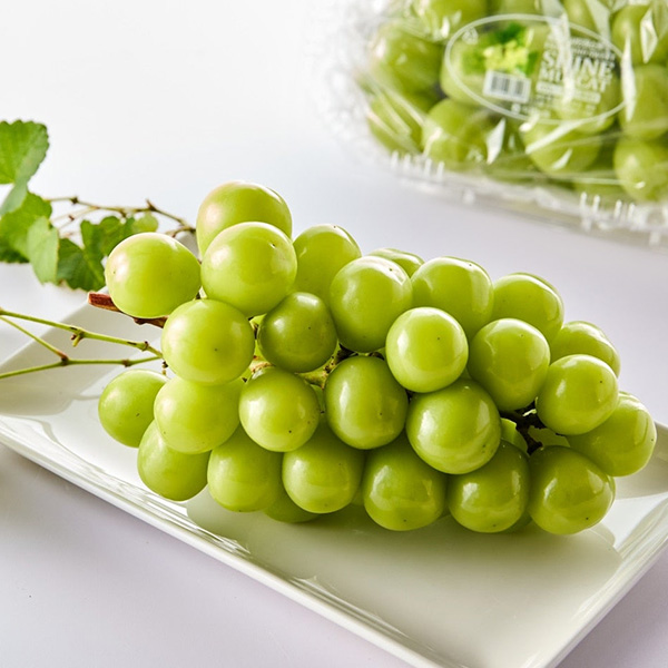 [유명산지]김천 샤인머스캣(특.500g이상)